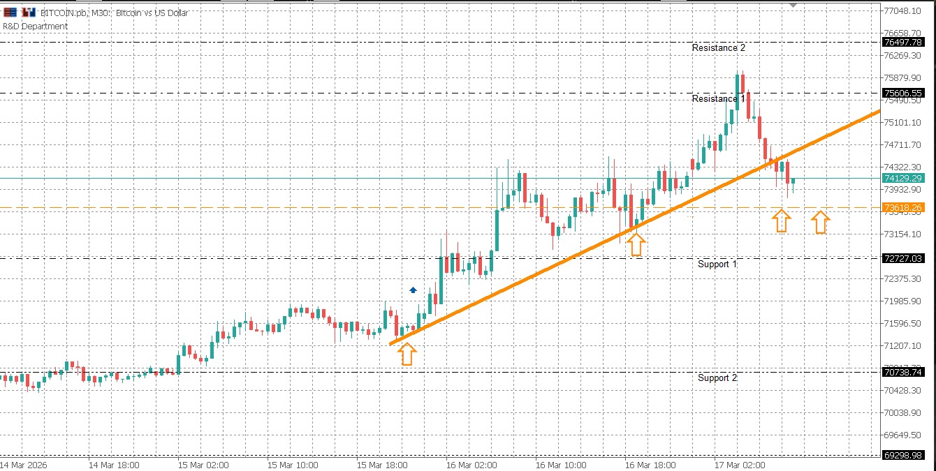 BTCUSD Daily Market Bulletin - BTCUSD